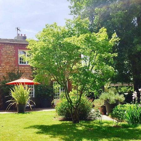 Bed & Breakfast La Clepsydre Fontenay-aux-Roses Dış mekan fotoğraf