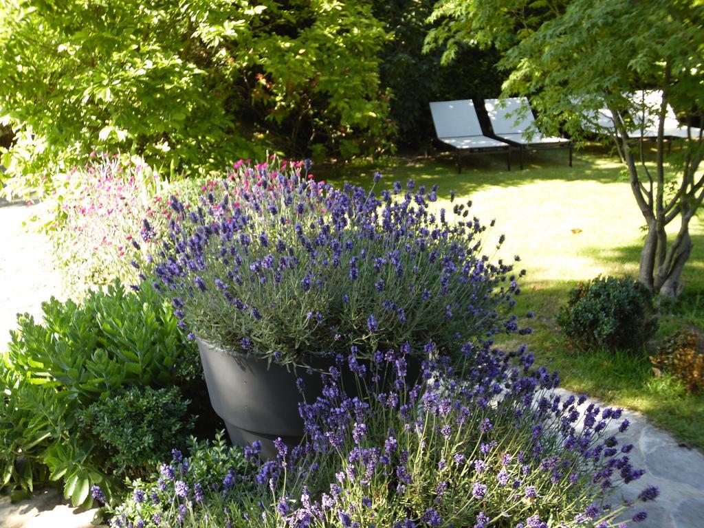 Bed & Breakfast La Clepsydre Fontenay-aux-Roses Dış mekan fotoğraf